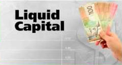 Franquicia Liquid Capital